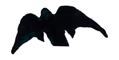 a crow flying toward the briny sea